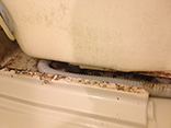 浴槽エプロン内部(バス下部)のカビ汚れ、塩素洗剤や細身のブラシで除去します。